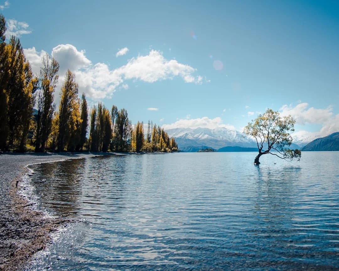 Serene lake landscape